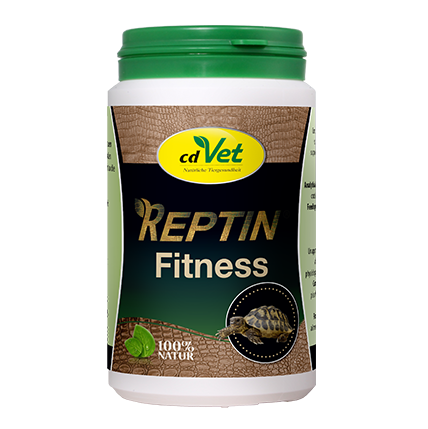 REPTIN Fitness