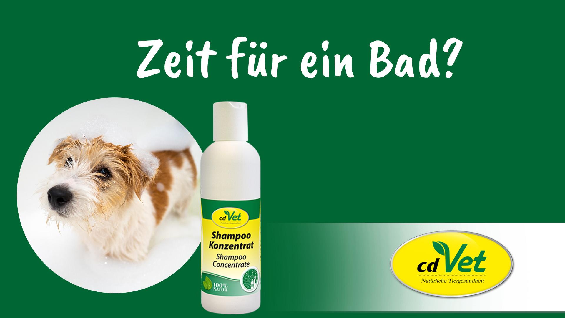 Shampoo Konzentrat 5 Liter