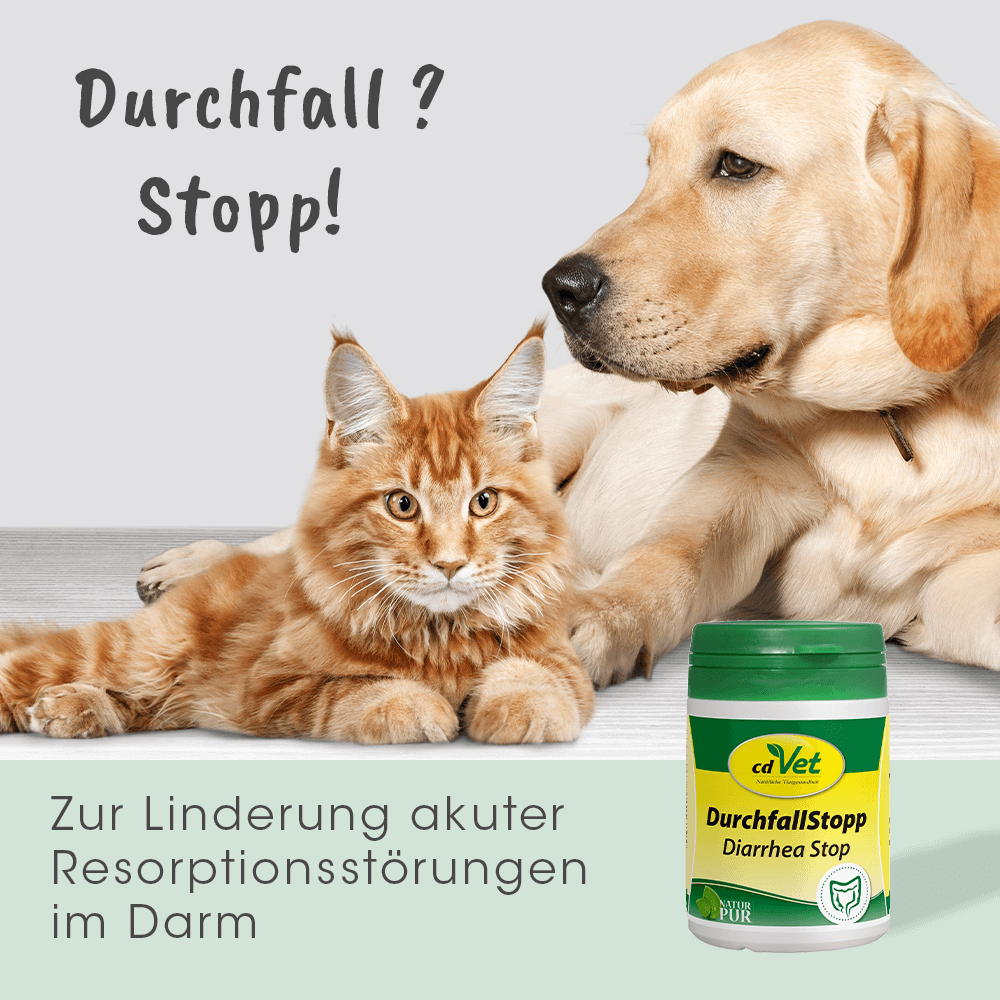 DurchfallStopp 150g -Sorbe-