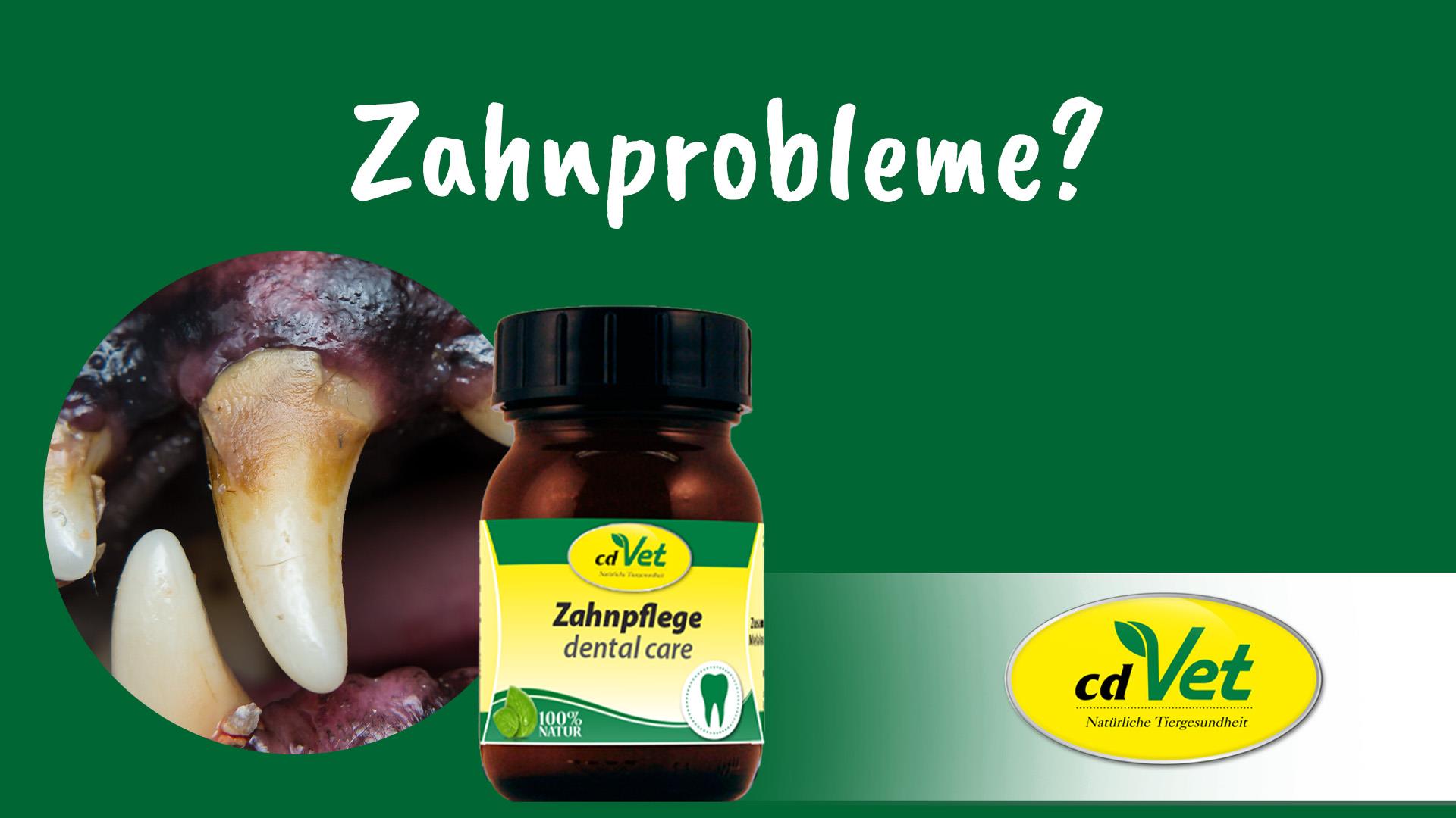Zahnpflege 75 ml