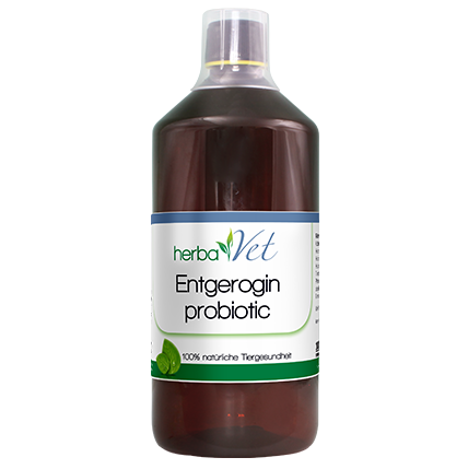 herbaVet Enterogin probiotic 1 L
