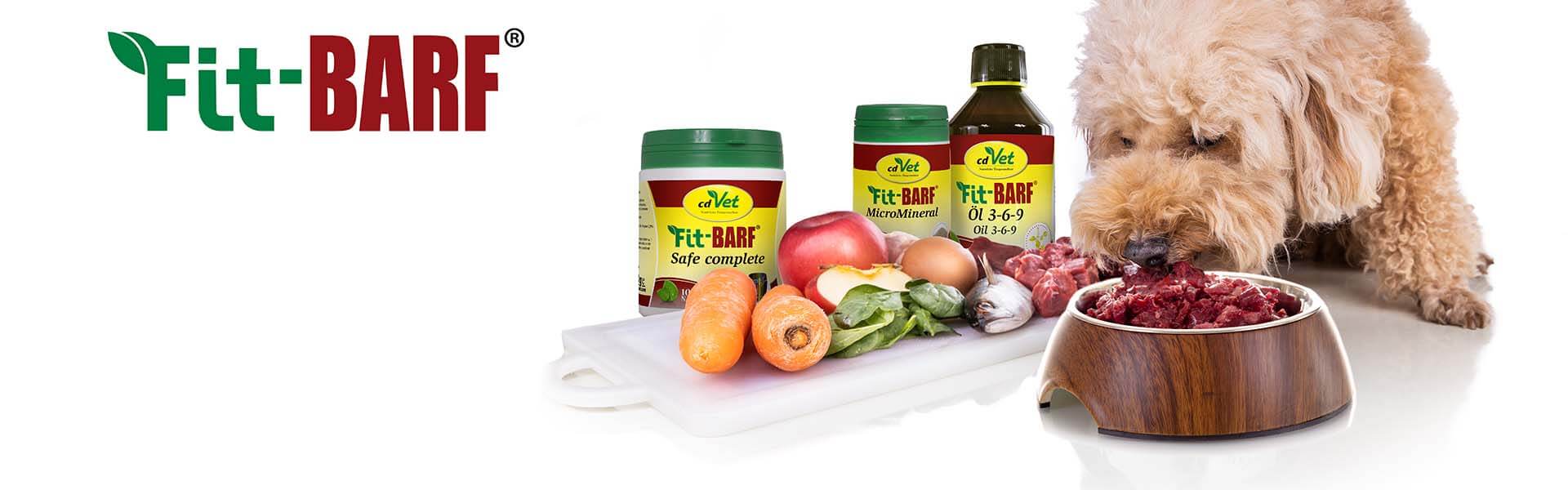 Fit-BARF_Banner_1920x600px Mittagessen, Mahlzeit, Hund, Haustier, Obst, Mittagessen, Mahlzeit, Hund, Haustier, Obst