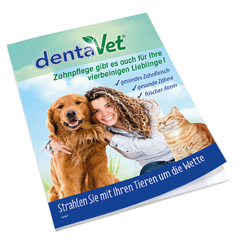 Flyer DentaVet DIN A6 Farbe