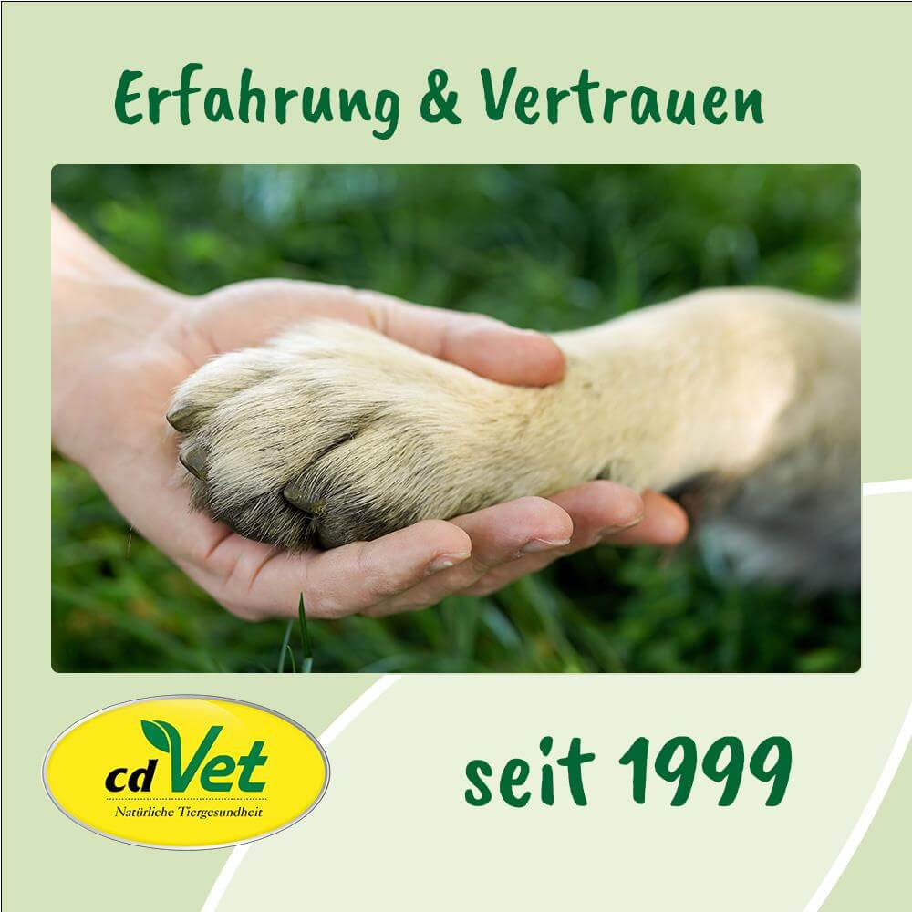 ArthroGreen Lauf-Fit Pro 250 ml -Sorbe-