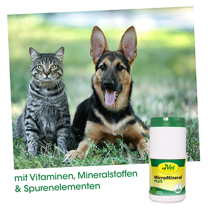 MicroMineral plus Hund & Katze 1 kg