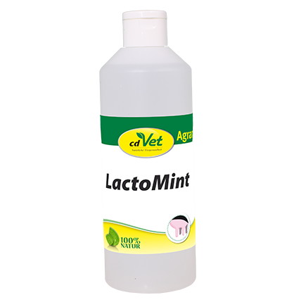 LactoMint