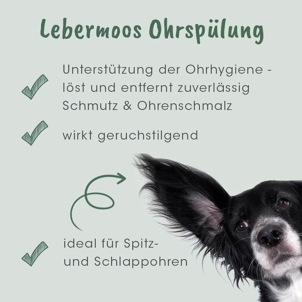 VeaVet Lebermoos Ohrspülung 100 ml