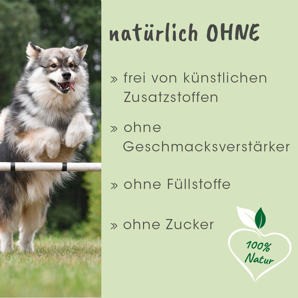 ArthroGreen Lauf-Fit Pro 250 ml -Sorbe-