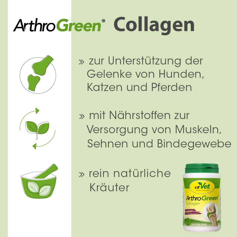 ArthroGreen Collagen 130g
