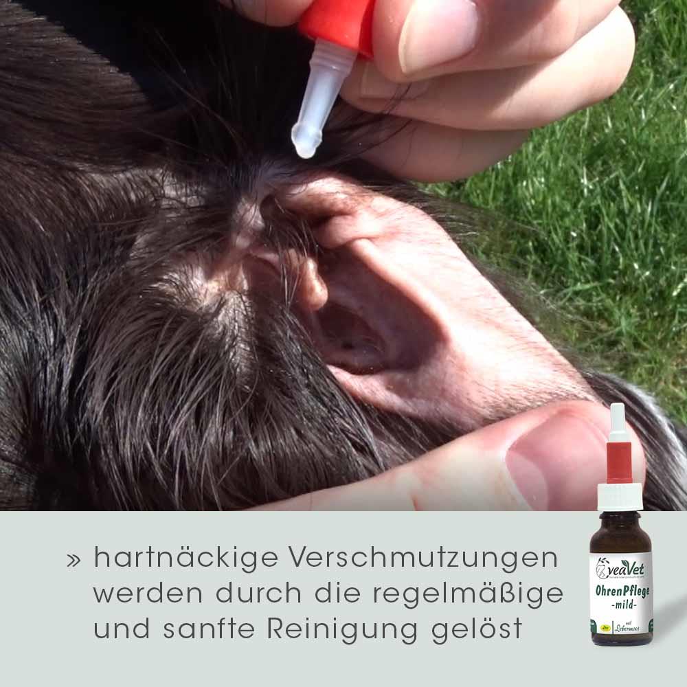 VeaVet Ohrenpflege mild 20 ml