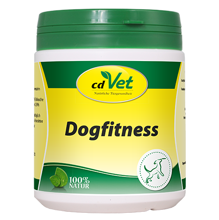 DogFitness