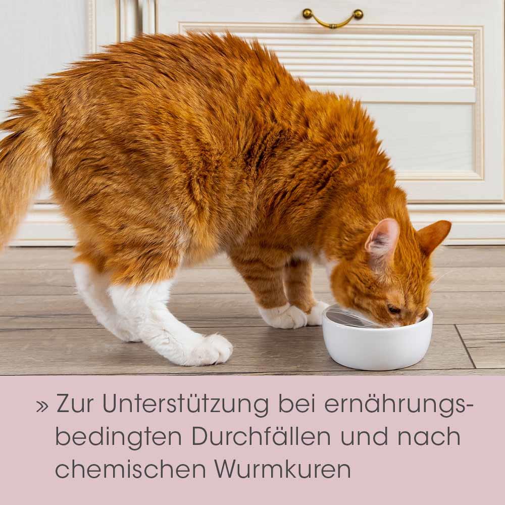 feliTATZ DarmRegulanz 50g