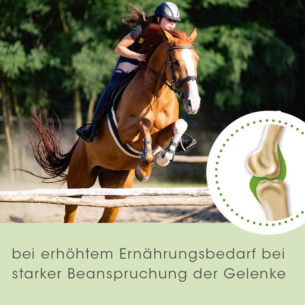 ArthroGreen Lauf-Fit Pro 50 ml -Sorbe-