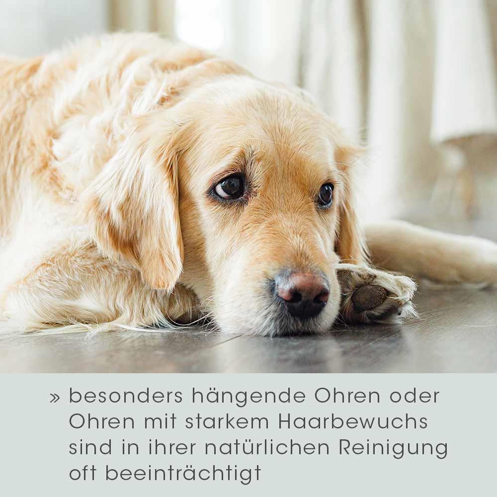 VeaVet Ohrenpflege mild 20 ml