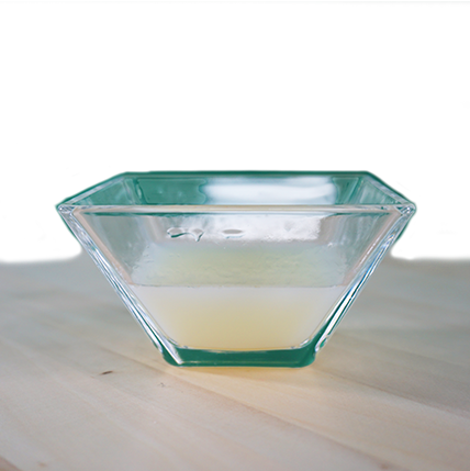 insektoVet Total 5 L