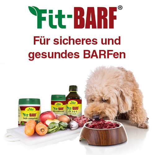 Mittagessen, Mahlzeit, Kräuterig, Pflanze, Hund