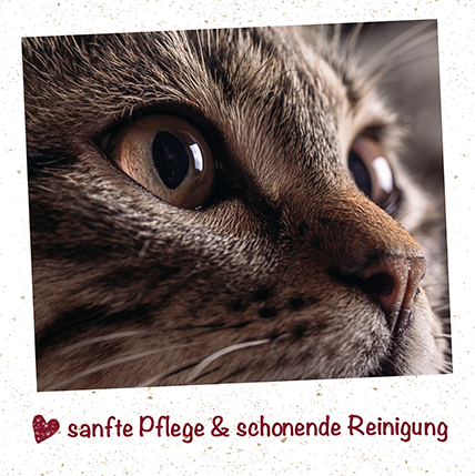 feliTATZ AugenReiniger 20 ml