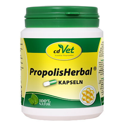 PropolisHerbal 100 Kapseln