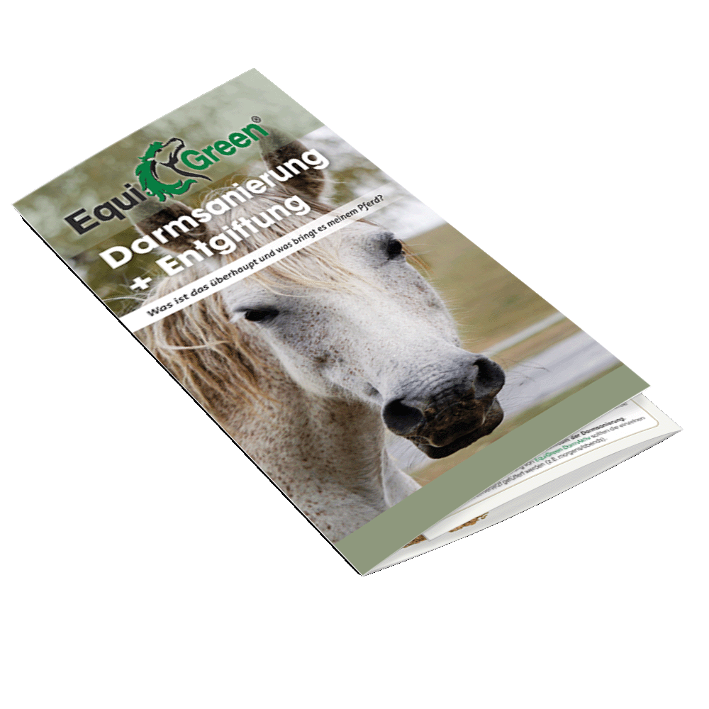 Flyer Darmsanierung Pferd DIN lang, 6 seitig