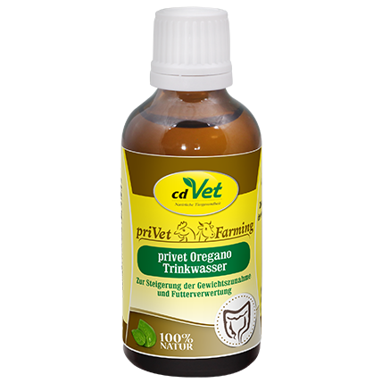 privet Oregano Trinkwasser 50ml