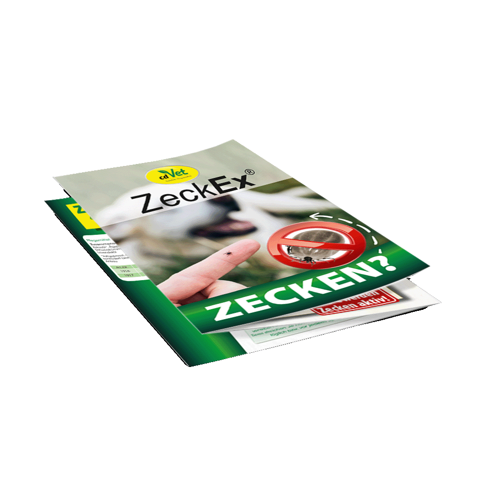 Flyer Antiparasiten - Zecke, A6