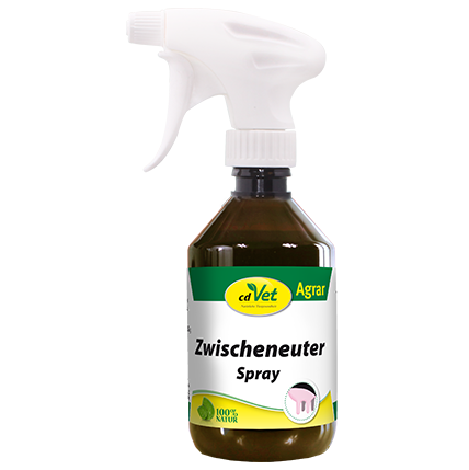 Zwischeneuter Spray