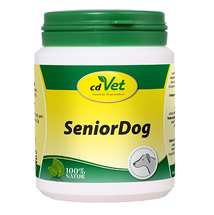 SeniorDog