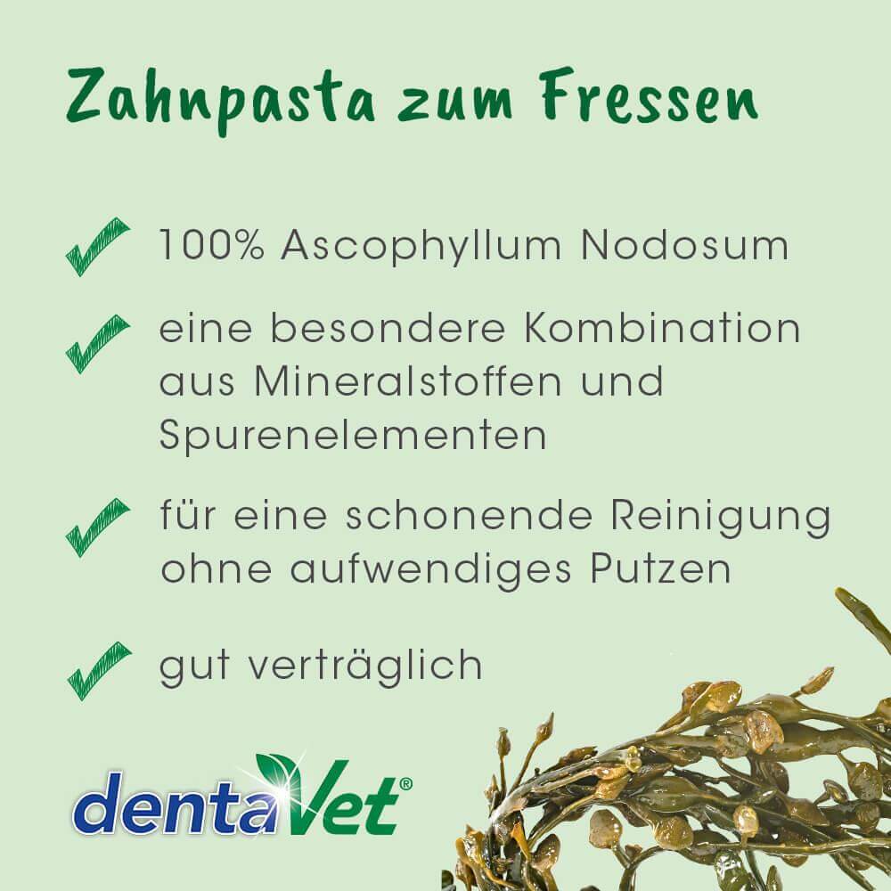 dentaVet Anti-Plaque 50 g