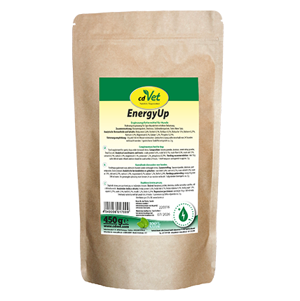 EnergyUp 450 g