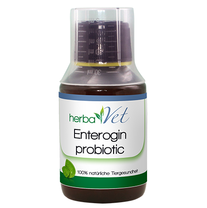 herbaVet Enterogin probiotic