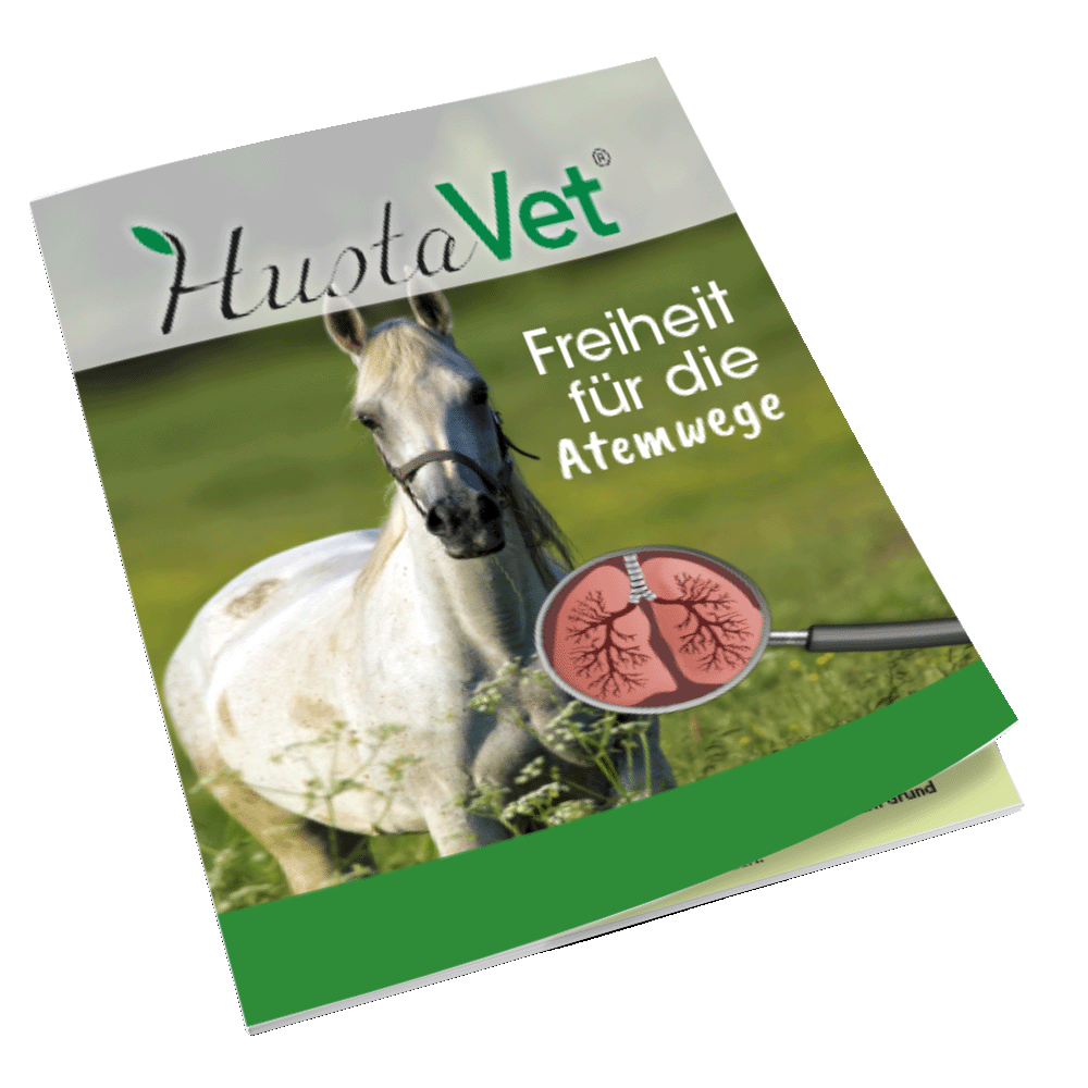 Flyer Atemwege Pferd 16 Seitig A6