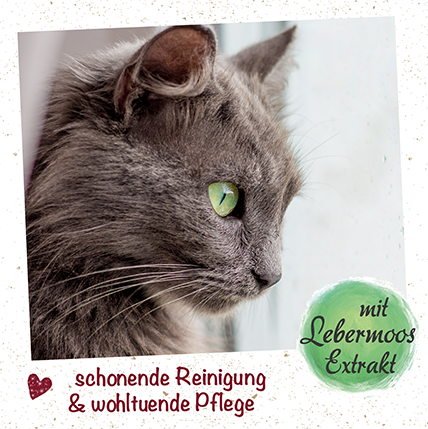 feliTATZ OhrReiniger 20 ml