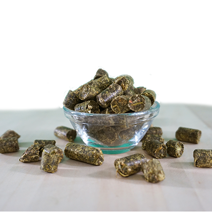 EquiGreen Bio-KräuterGrün Leckerlis