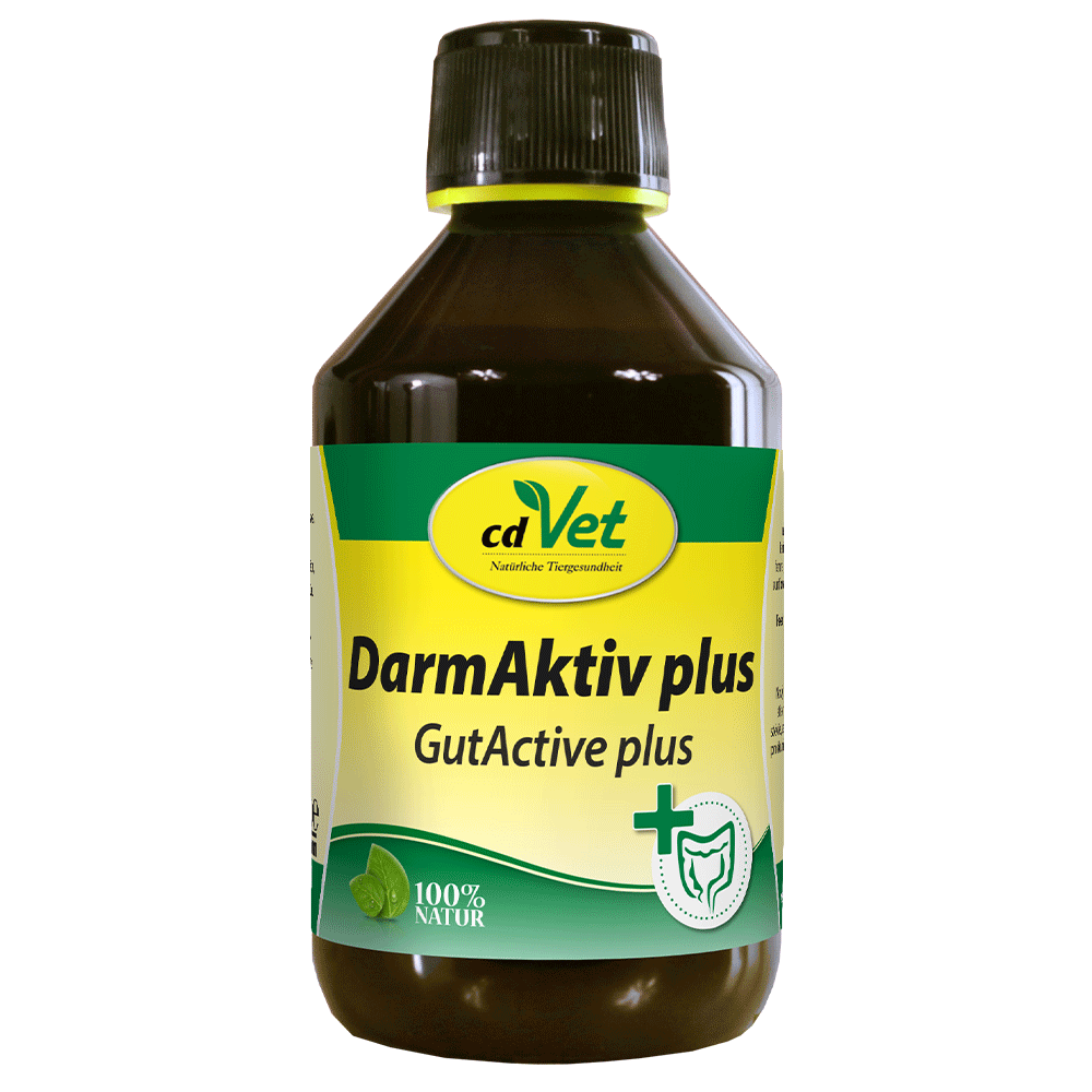 DarmAktiv plus 250 ml