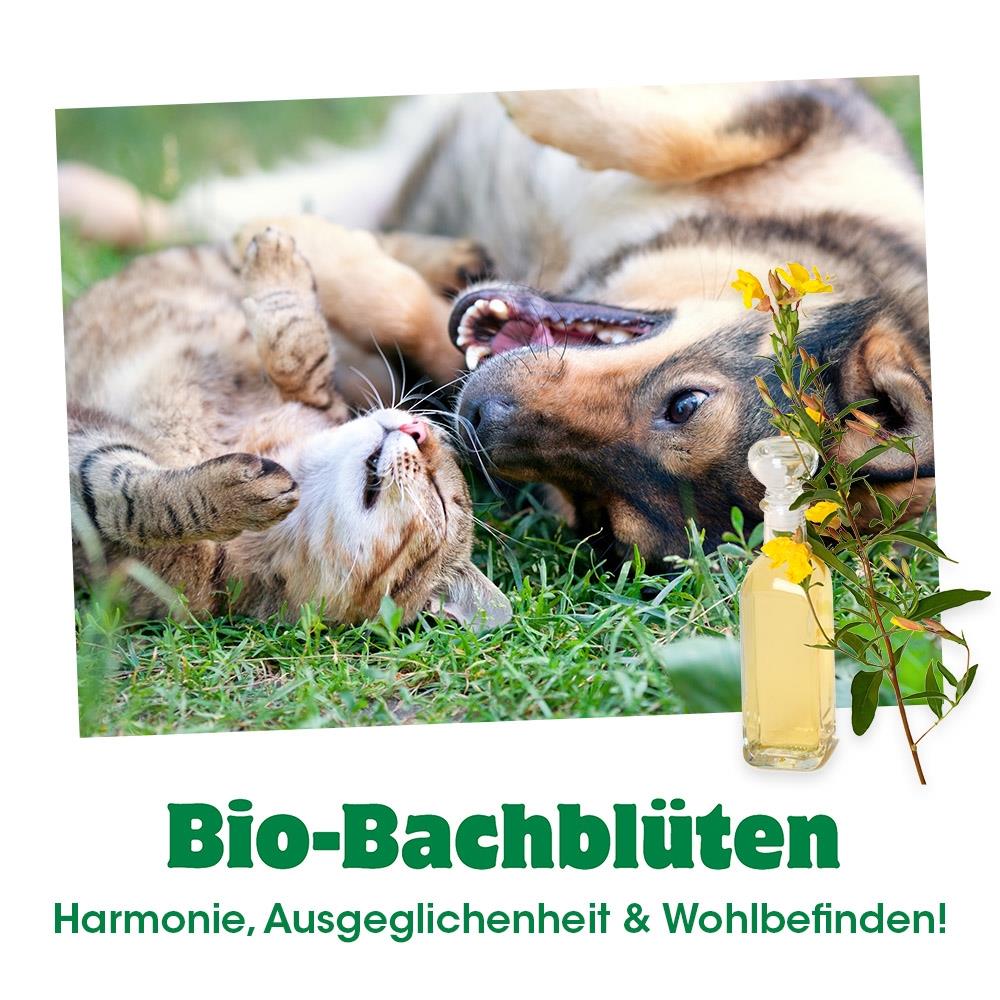 Bio-Bachblüten Pflegefall 20 ml