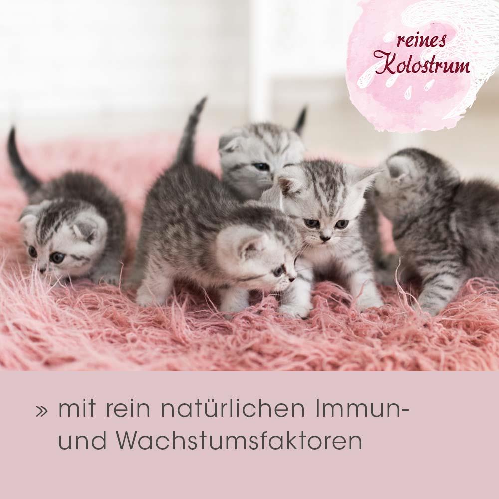 feliTATZ ImmunKraft 30 g