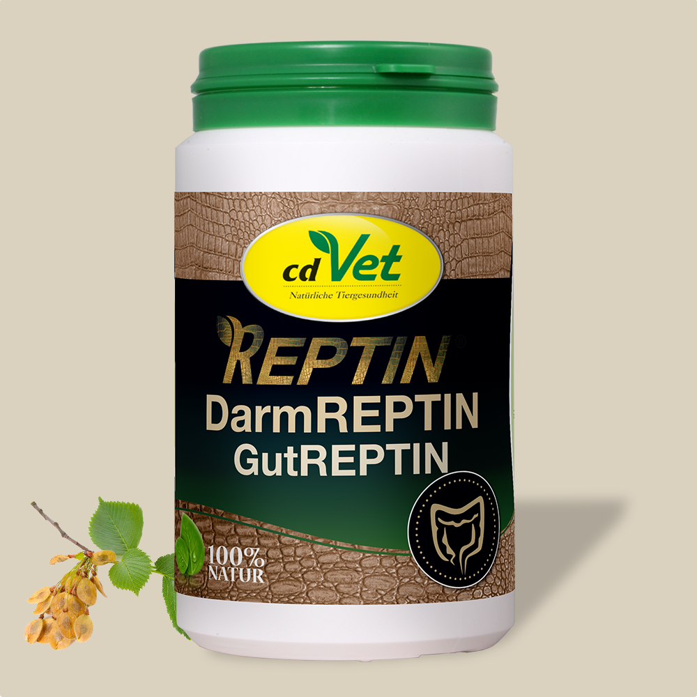 DarmREPTIN