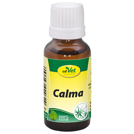 Calma
