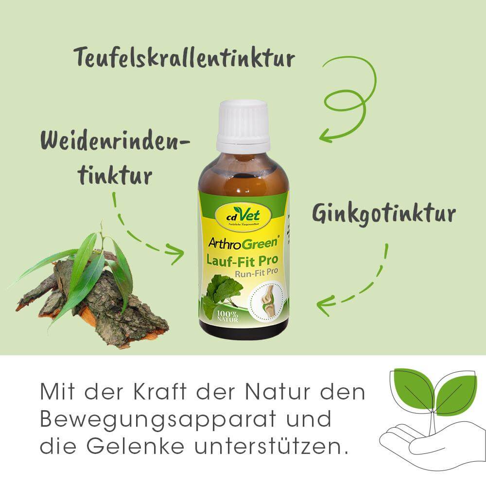 ArthroGreen Lauf-Fit Pro 250 ml -Sorbe-