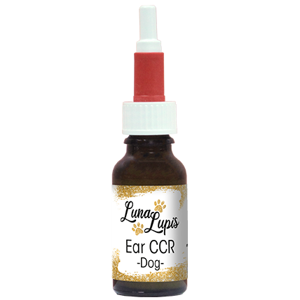 LunaLupis Ear CCR Dog