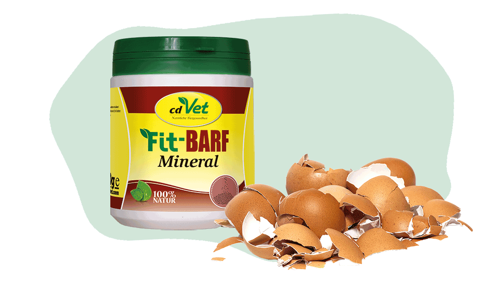 CdVet Fit-BARF Schonkost Für Hunde – 700 G, Ergänzendes Diätfuttermittel Bei Magen-Darm-Beschwerden