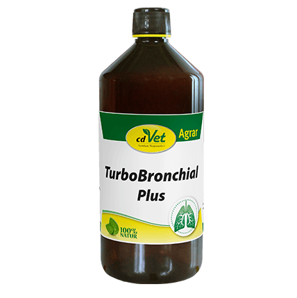 TurboBronchial Plus 1 L -Sorbe-