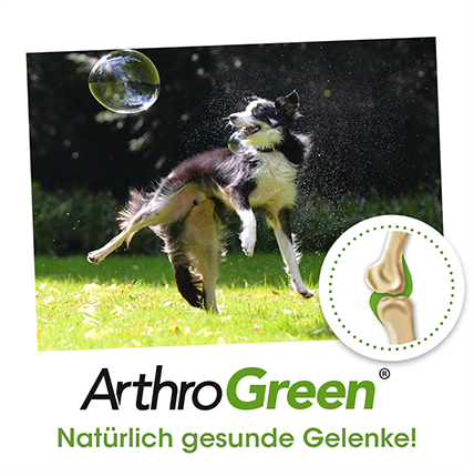 ArthroGreen Collagen