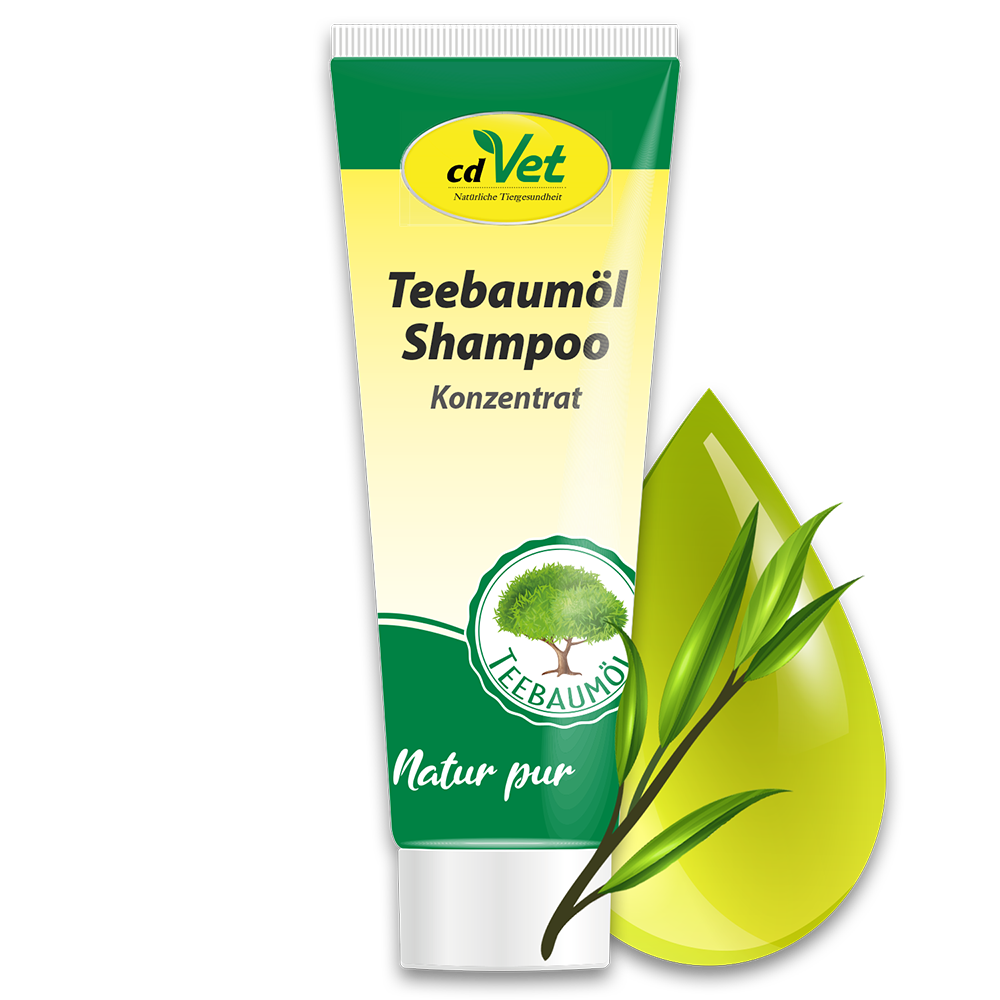 Teebaumöl Shampoo 25 ml
