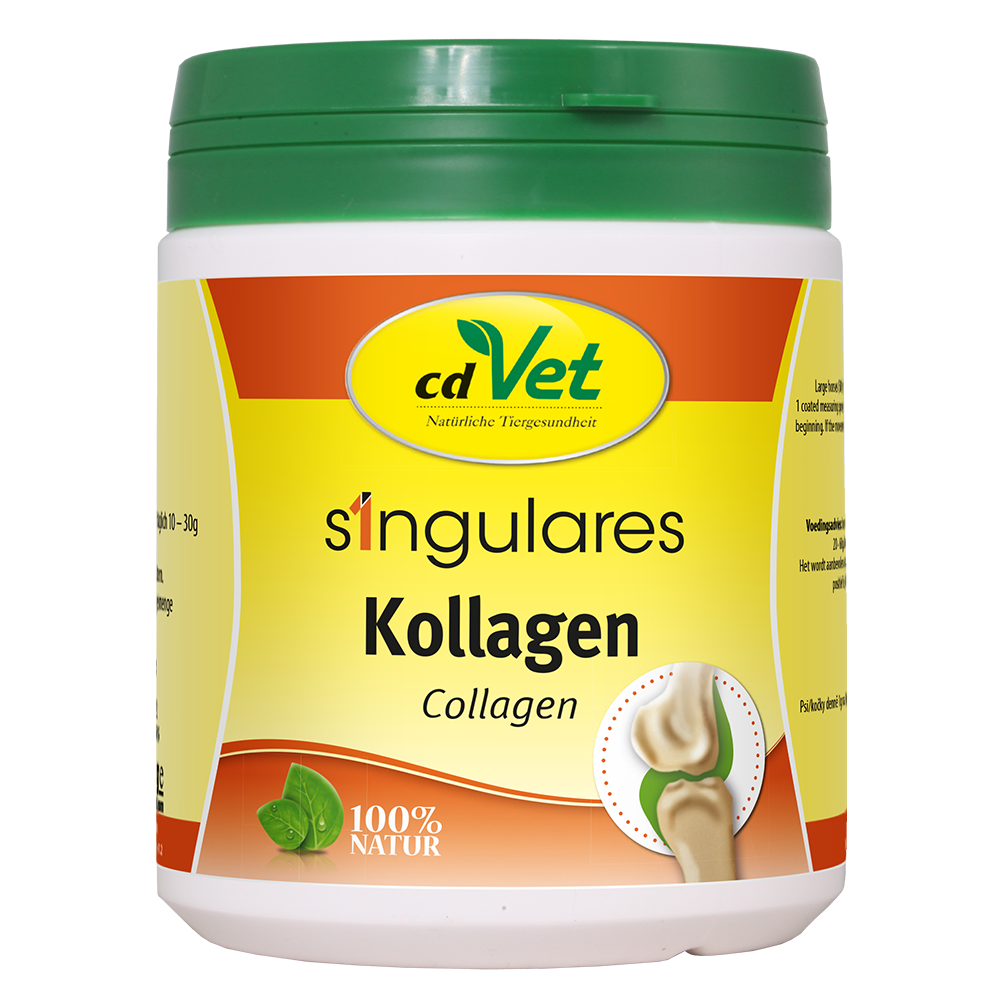 Singulares Kollagen 250 g