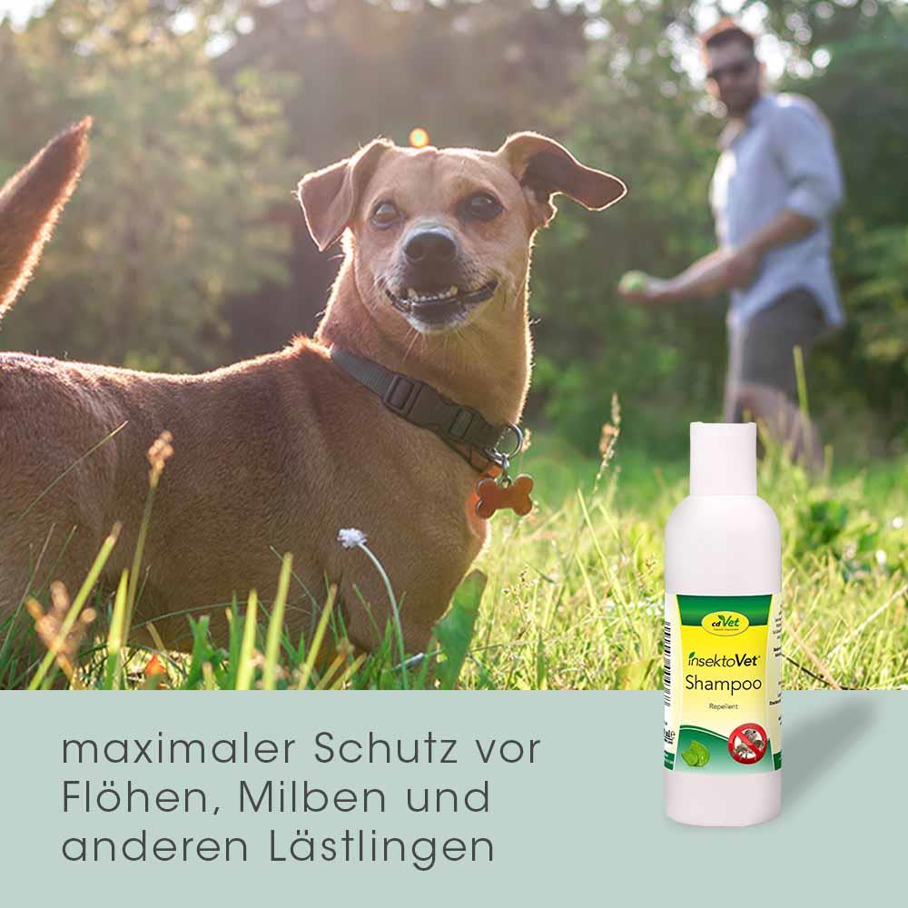 insektoVet Shampoo 100ml