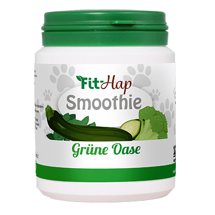 Fit-Hap Smoothie Grüne Oase 120 g