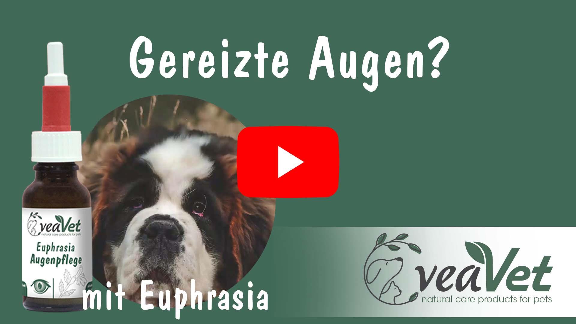 VeaVet Euphrasia Augenpflege 20 ml