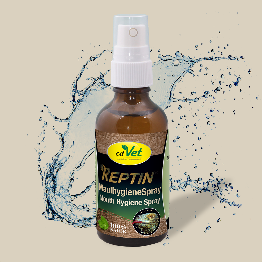 REPTIN Maulhygienespray