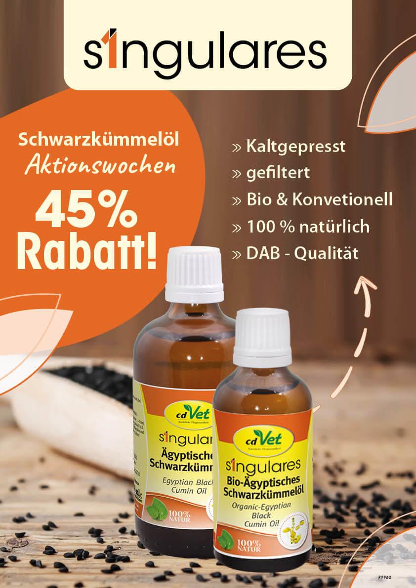 Aktionsplakat Sommer-Must-Haves